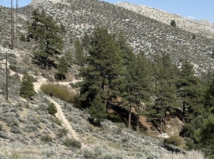 5000 W Hwy 50, Carson City, NV 89705 Photo