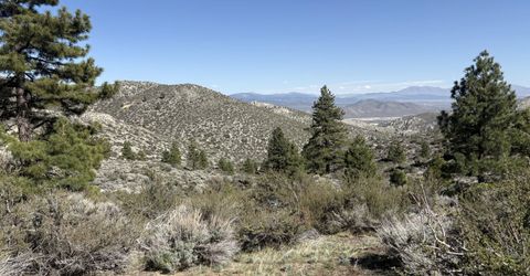 5000 W Hwy 50, Carson City, NV 89705 Photo