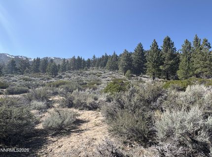 5000 W Hwy 50, Carson City, NV 89705 Photo