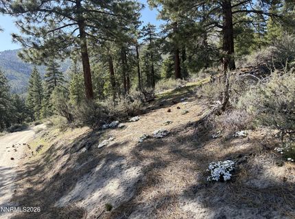 5000 W Hwy 50, Carson City, NV 89705 Photo