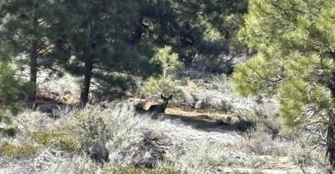 5000 W Hwy 50, Carson City, NV 89705 Photo