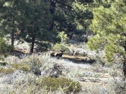 5000 W Hwy 50, Carson City, NV 89705 Photo