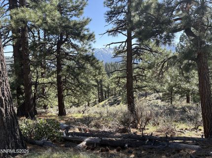 5000 W Hwy 50, Carson City, NV 89705 Photo