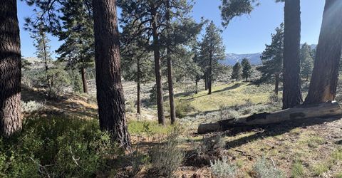 5000 W Hwy 50, Carson City, NV 89705 Photo