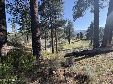 5000 W Hwy 50, Carson City, NV 89705 Photo
