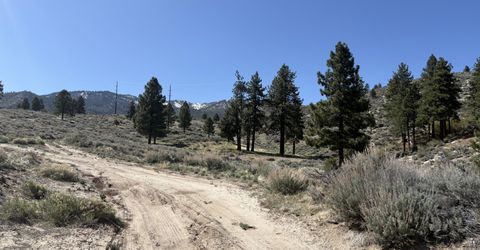 5000 W Hwy 50, Carson City, NV 89705 Photo