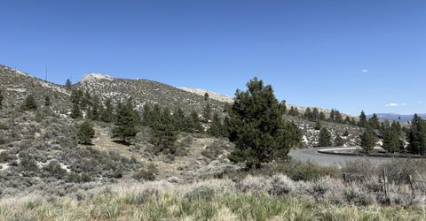 5000 W Hwy 50, Carson City, NV 89705 Photo