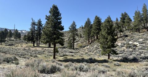 5000 W Hwy 50, Carson City, NV 89705 Photo