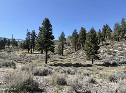 5000 W Hwy 50, Carson City, NV 89705 Photo