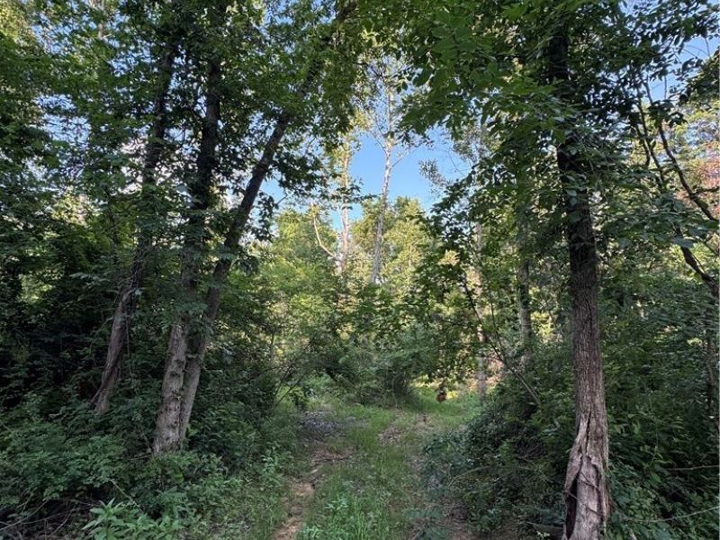 Morganstern Lane, Beverly, OH 45715 Photo 10