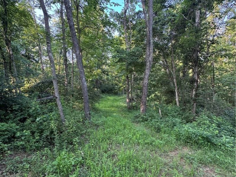 Morganstern Lane, Beverly, OH 45715 Photo 7
