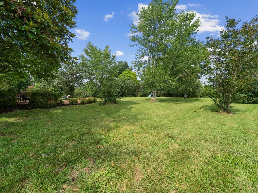 Property Image 79