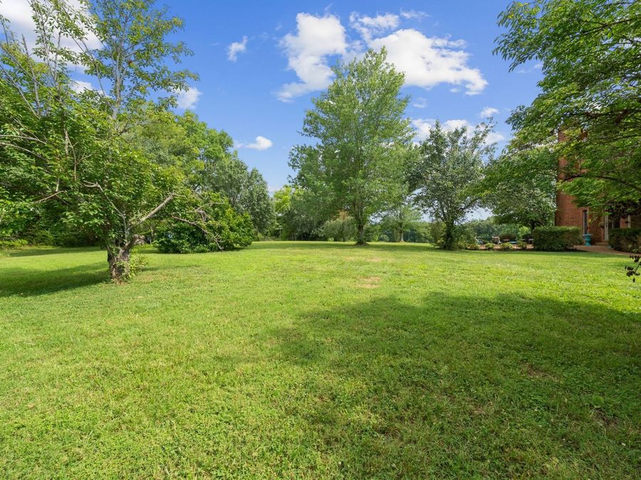 Property Image 81