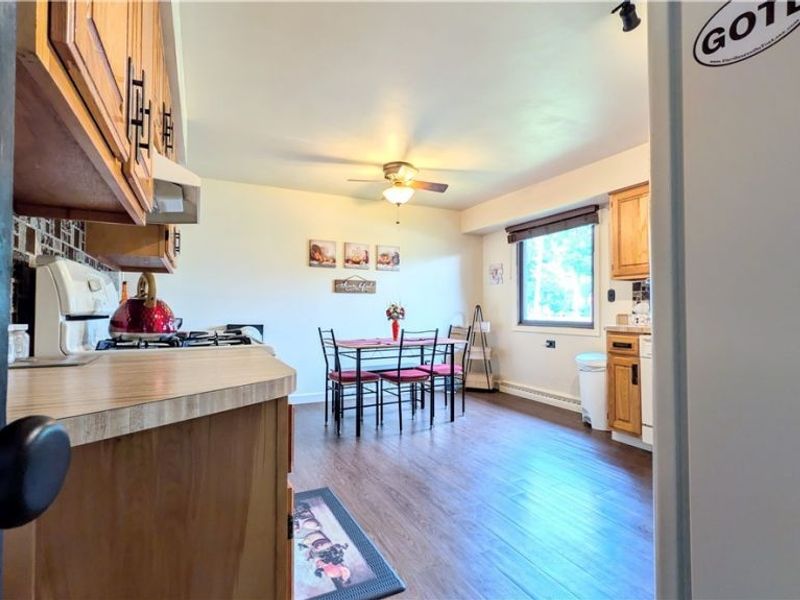 1099 Lake Road, Conneaut, OH 44030 Photo 3