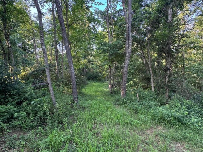 0 Morganstern Lane , Beverly, OH 45715 Photo 6