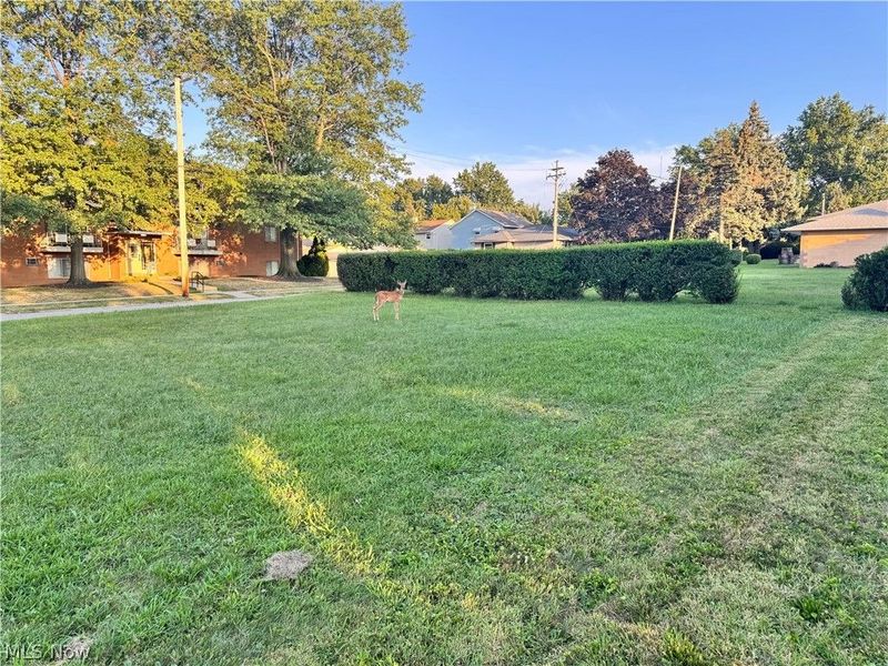2907 Snow Road, Parma, OH 44134 Photo 15