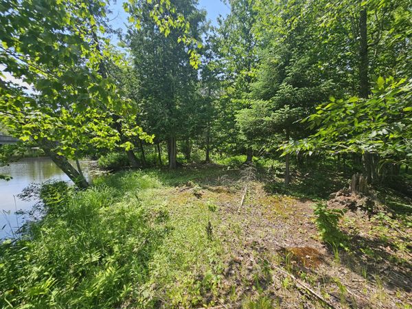 00 County Road H-33, Curtis, MI 49820