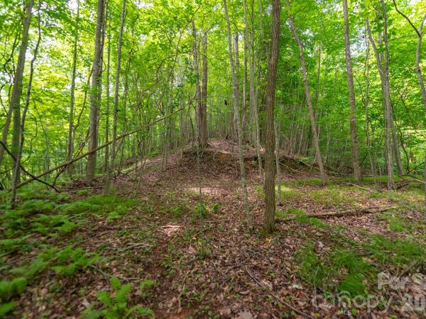 ### Board Tree Road , Marshall, NC 28753
