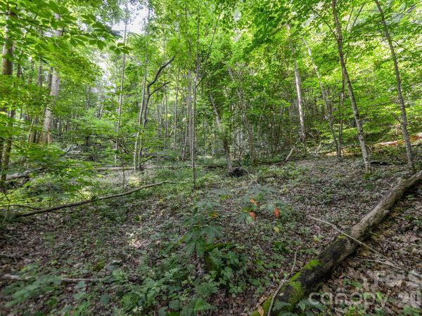 ### Board Tree Road , Marshall, NC 28753