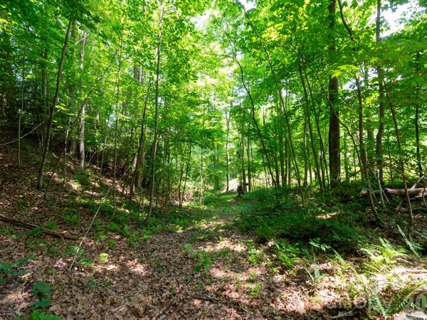 ### Board Tree Road , Marshall, NC 28753