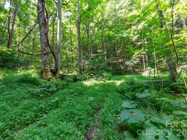 ### Board Tree Road , Marshall, NC 28753