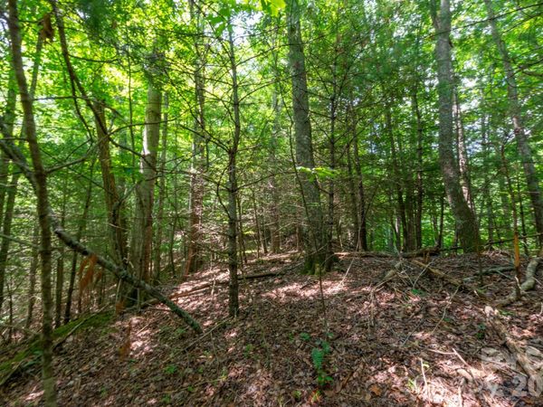 ### Board Tree Road , Marshall, NC 28753