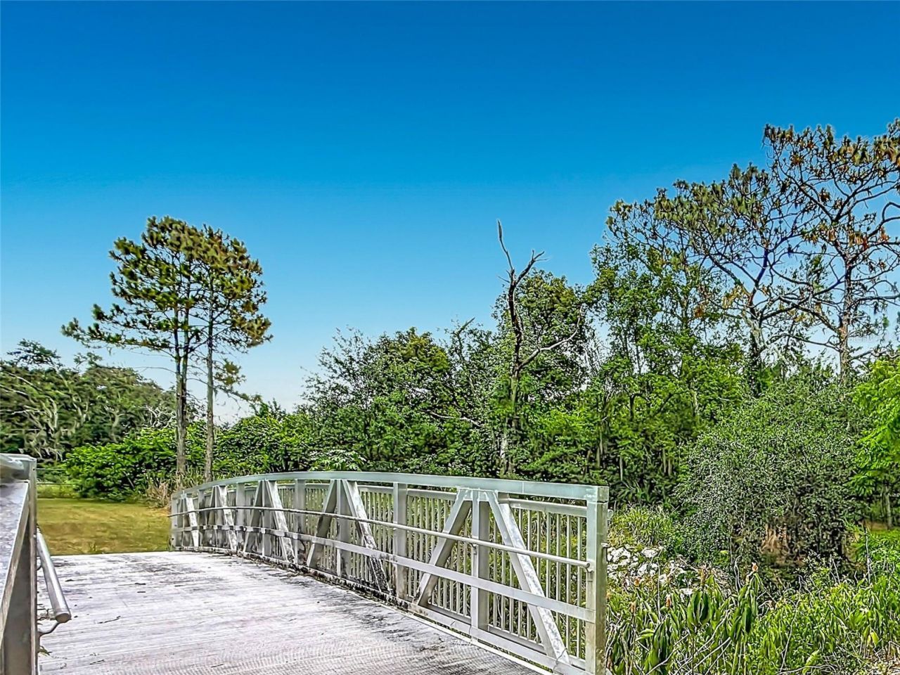 1850 Oak Creek Drive, Dunedin, FL 34698 Photo
