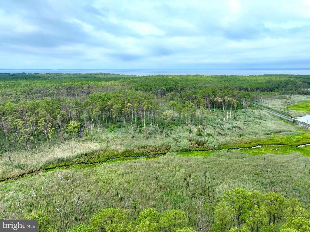 0 HOOPERS NECK ROAD, TAYLORS ISLAND, MD 21669