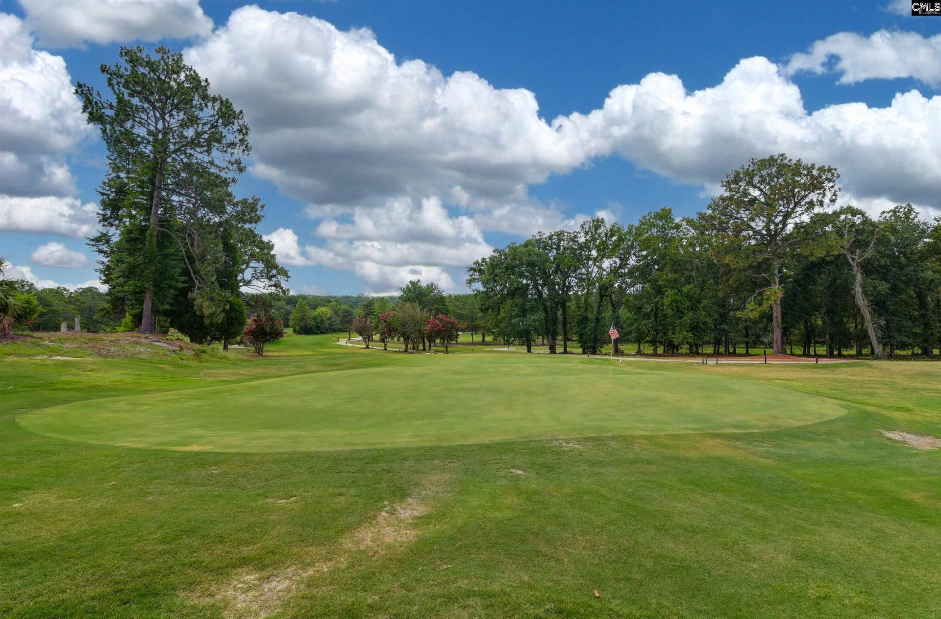 244 Long Iron Court Photo 12