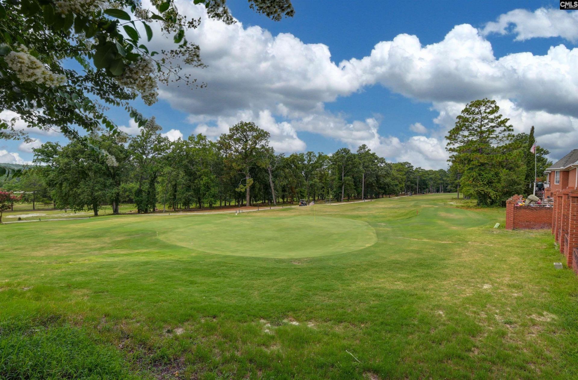 244 Long Iron Court Photo 4