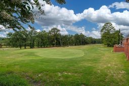 244 Long Iron Court photo 4