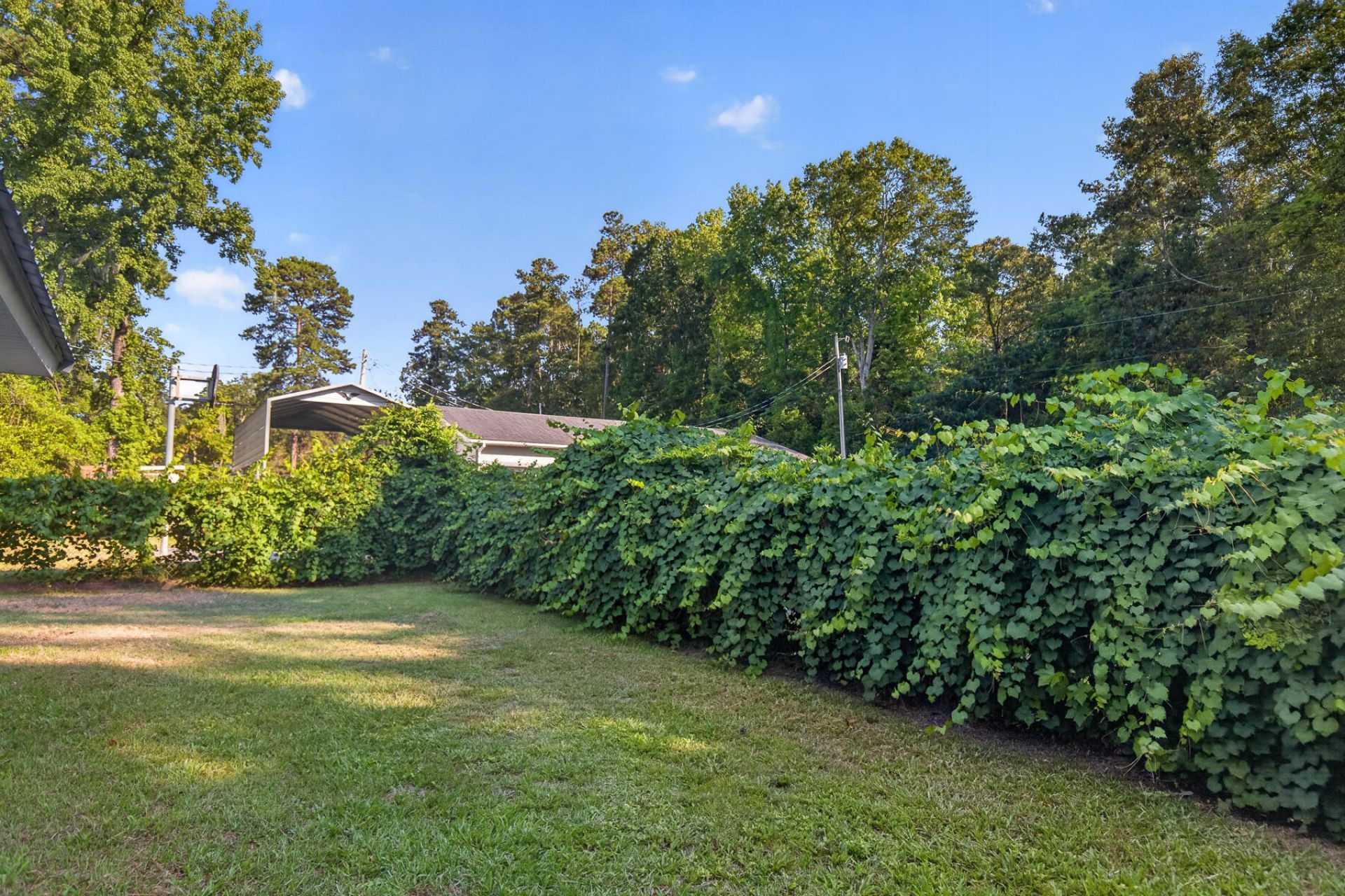 1039 Summerford Lane Photo 140