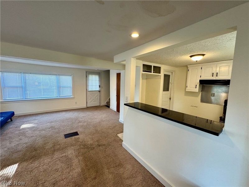 6136 Lake Road W, Ashtabula, OH 44004 Photo 10