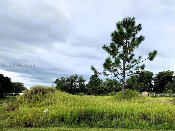 531 St Johns Ct, Kissimmee, FL 34759 , Poinciana, FL 34759