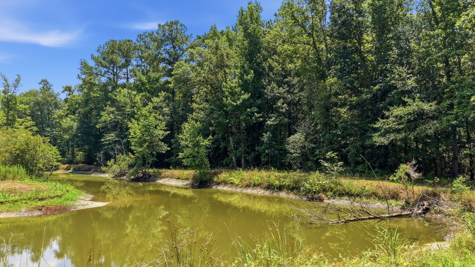601 Huggins Landing Road Photo 15