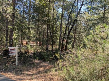 S Manzanita Hills Rd, Colfax, CA 95713 Photo