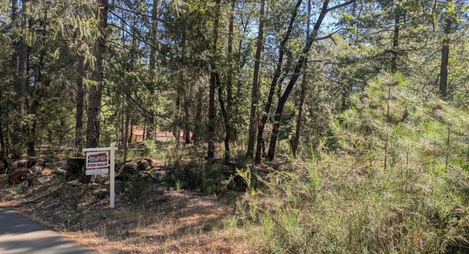 S Manzanita Hills Rd, Colfax, CA 95713 Photo