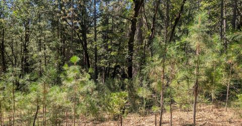 S Manzanita Hills Rd, Colfax, CA 95713 Photo