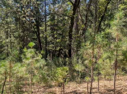 S Manzanita Hills Rd, Colfax, CA 95713 Photo