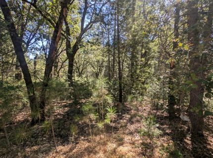 S Manzanita Hills Rd, Colfax, CA 95713 Photo