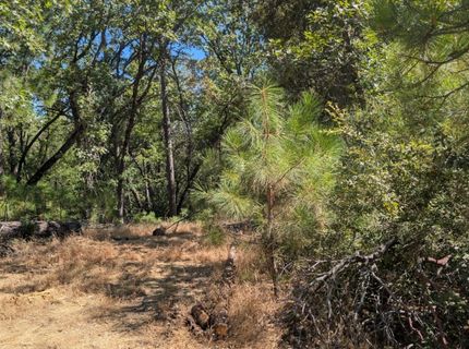 S Manzanita Hills Rd, Colfax, CA 95713 Photo