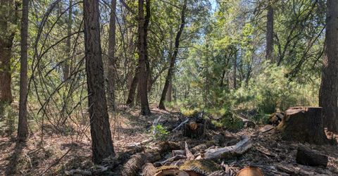 S Manzanita Hills Rd, Colfax, CA 95713 Photo