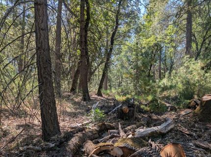 S Manzanita Hills Rd, Colfax, CA 95713 Photo
