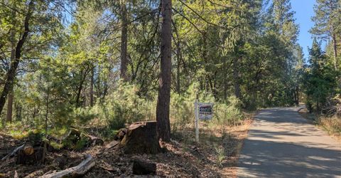 S Manzanita Hills Rd, Colfax, CA 95713 Photo