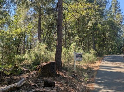 S Manzanita Hills Rd, Colfax, CA 95713 Photo