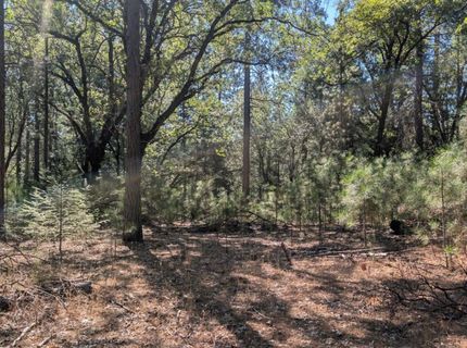 S Manzanita Hills Rd, Colfax, CA 95713 Photo