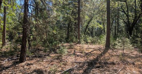 S Manzanita Hills Rd, Colfax, CA 95713 Photo