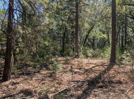S Manzanita Hills Rd, Colfax, CA 95713 Photo