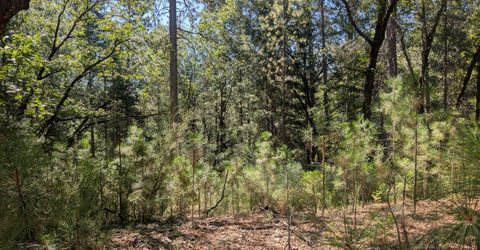 S Manzanita Hills Rd, Colfax, CA 95713 Photo