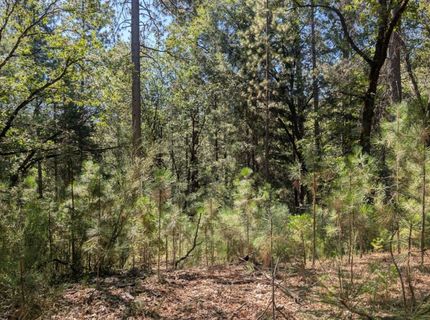S Manzanita Hills Rd, Colfax, CA 95713 Photo